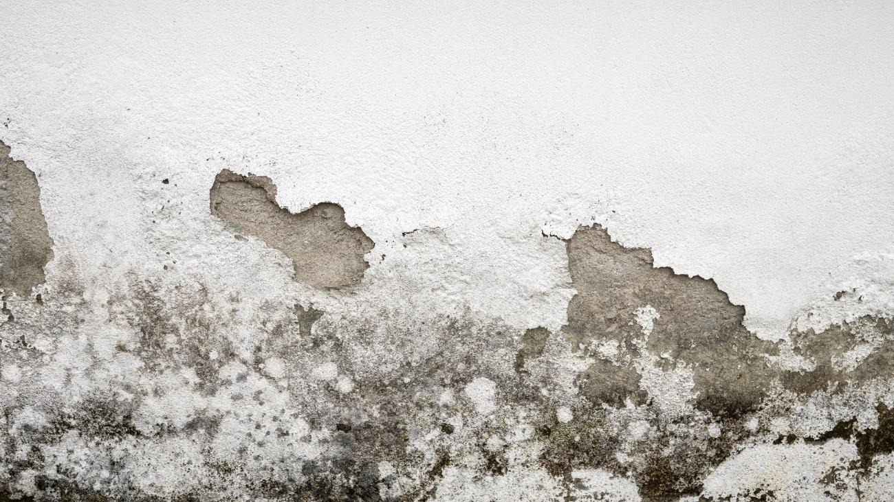 Filtración de agua pared