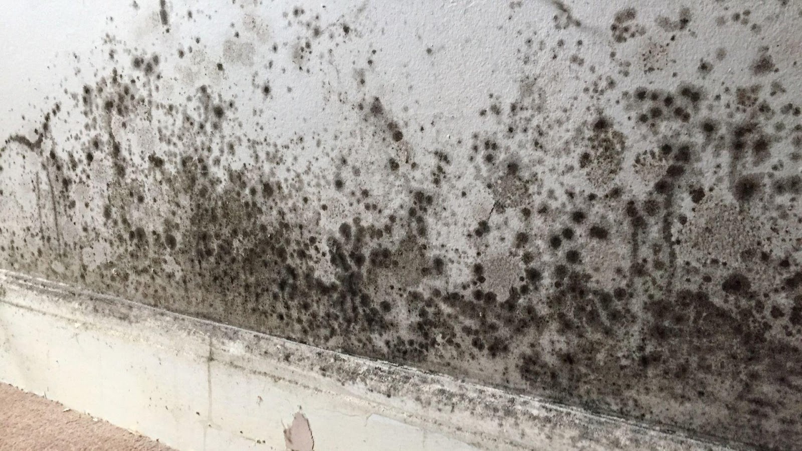 Filtraciones de agua paredes